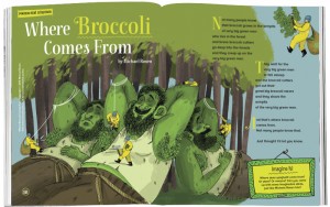 Storytime_kids_magazines_Issue13_Where_Broccoli_Comes_From_stories_for_kids_www.storytimemagazine.com